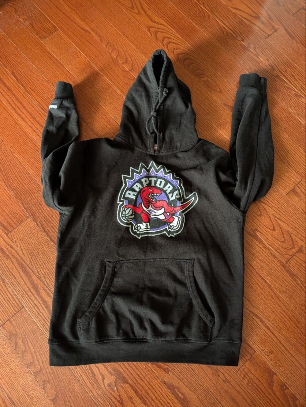 Toronto Raptors Black Hoodie with Team Logo